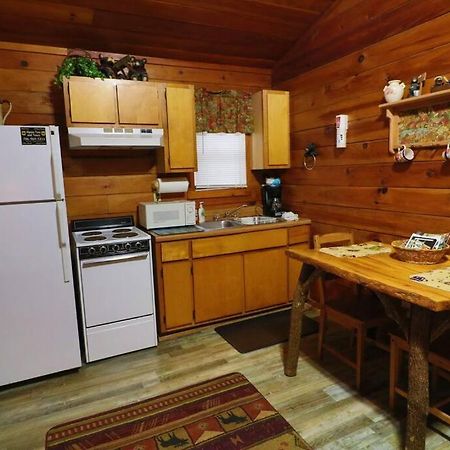 Alpine Mountain Sweetheart Cabin Jacuzzi #6 Helen Bagian luar foto