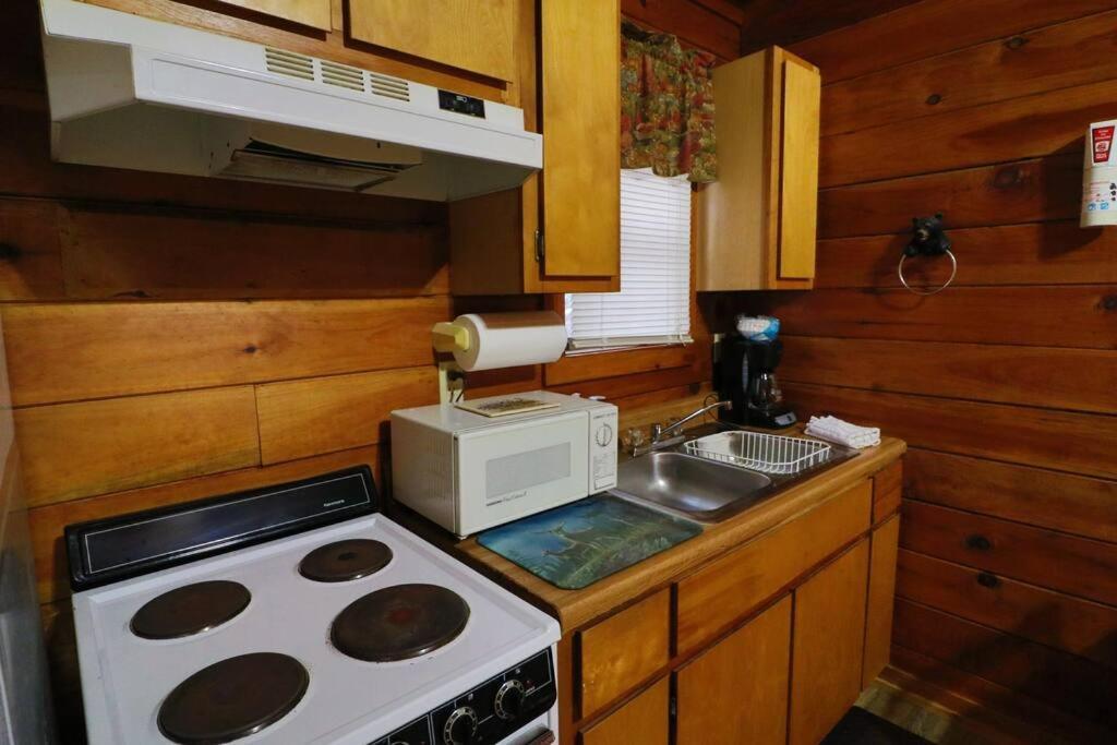 Alpine Mountain Sweetheart Cabin Jacuzzi #6 Helen Bagian luar foto
