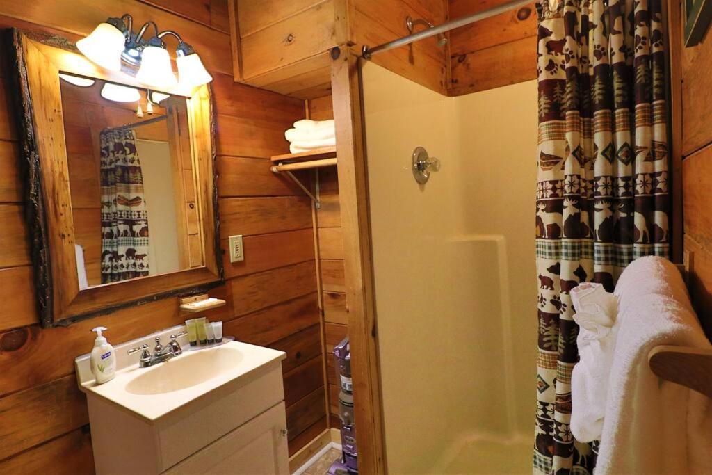 Alpine Mountain Sweetheart Cabin Jacuzzi #6 Helen Bagian luar foto