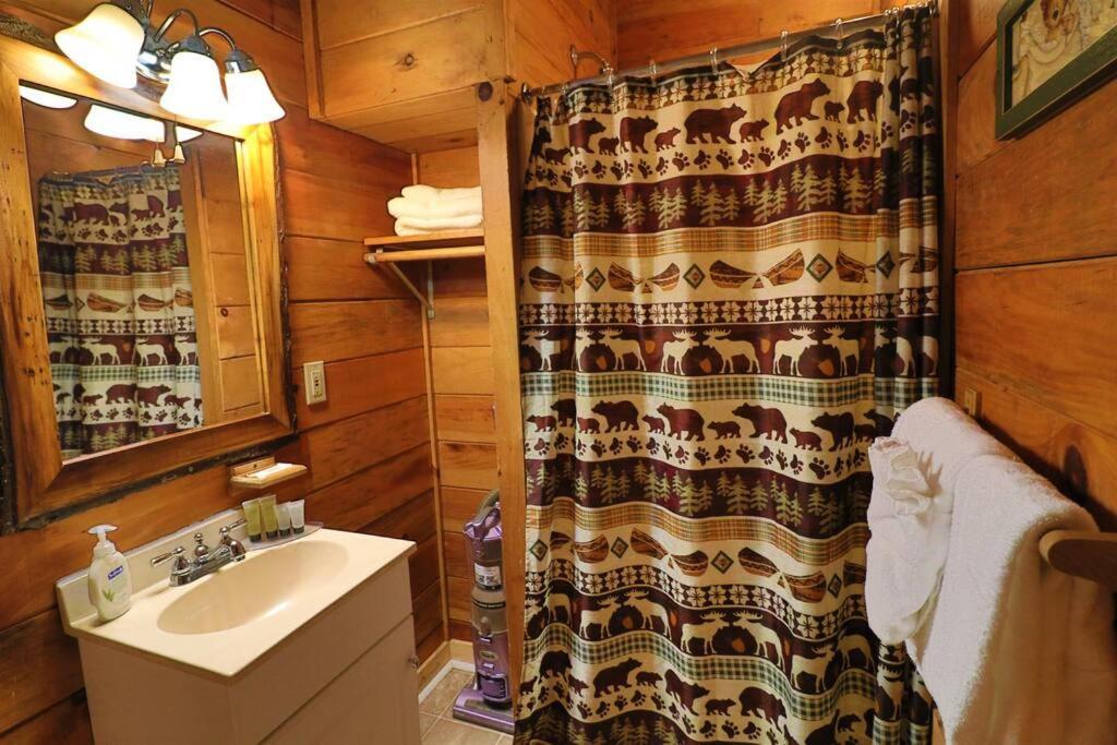 Alpine Mountain Sweetheart Cabin Jacuzzi #6 Helen Bagian luar foto